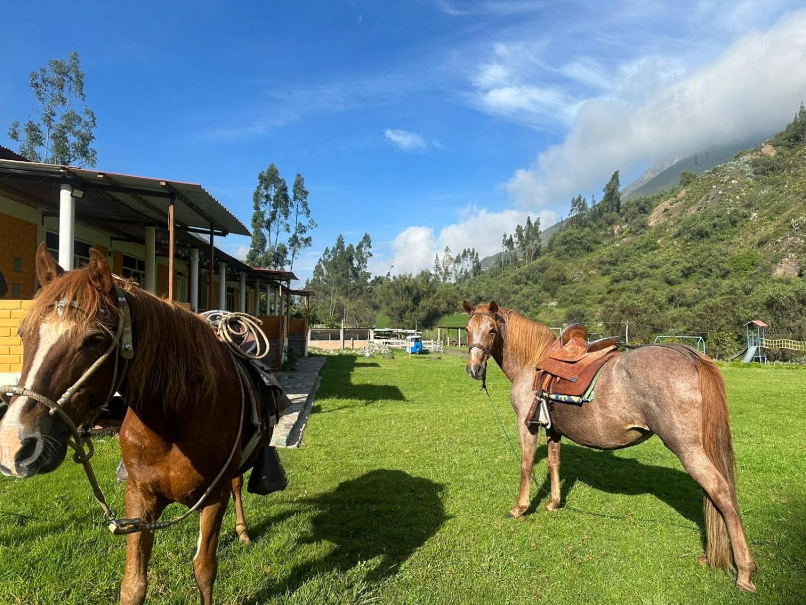 Tambo Lodge Canta Luaran gambar